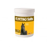 Electro Salts 1kg 1