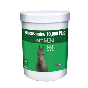 Glucosamine 10 000 Plus with MSM 900g 1