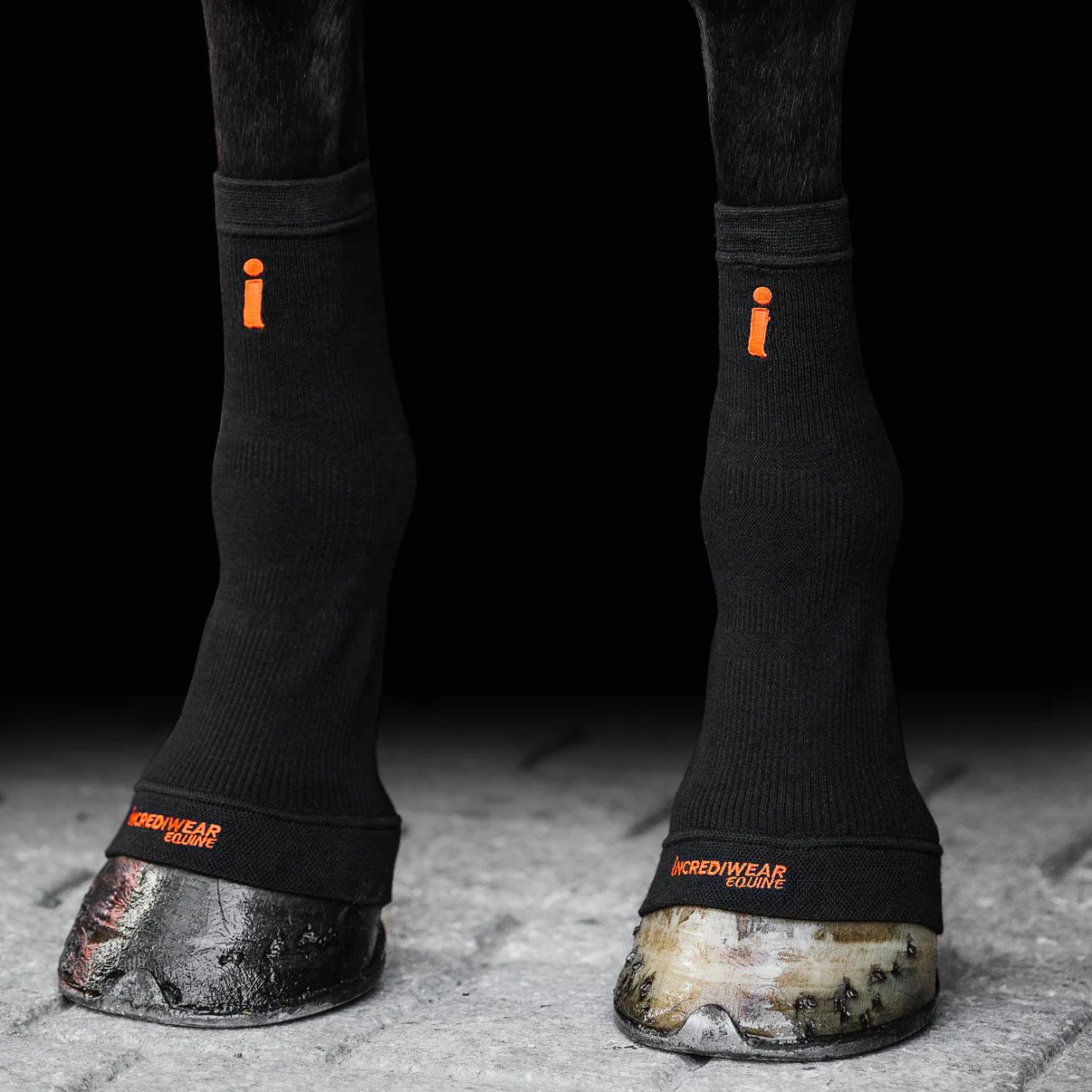 Incrediwear-Equine-Circulation-hoof-socks-black-1 Incrediwear-Equine-Circulation-hoof-socks-black-1