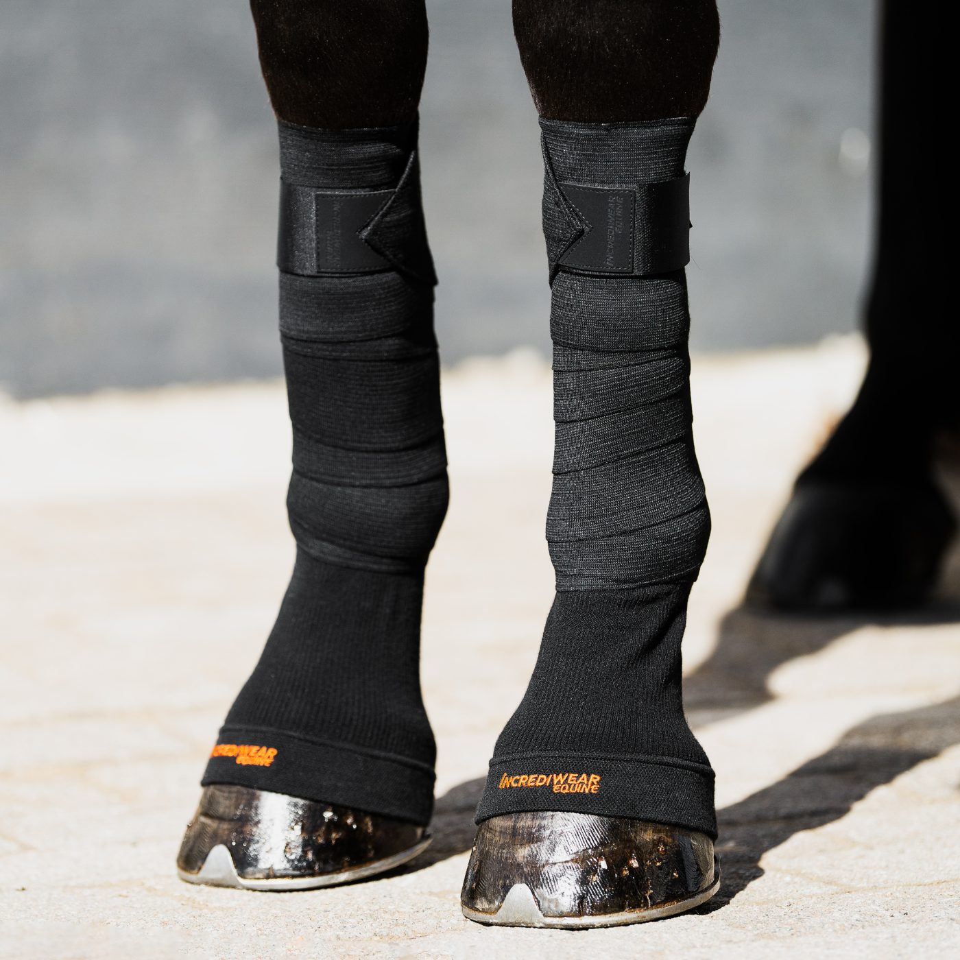 Incrediwear-Equine-Circulation-hoof-socks-black-3 Incrediwear-Equine-Circulation-hoof-socks-black-3