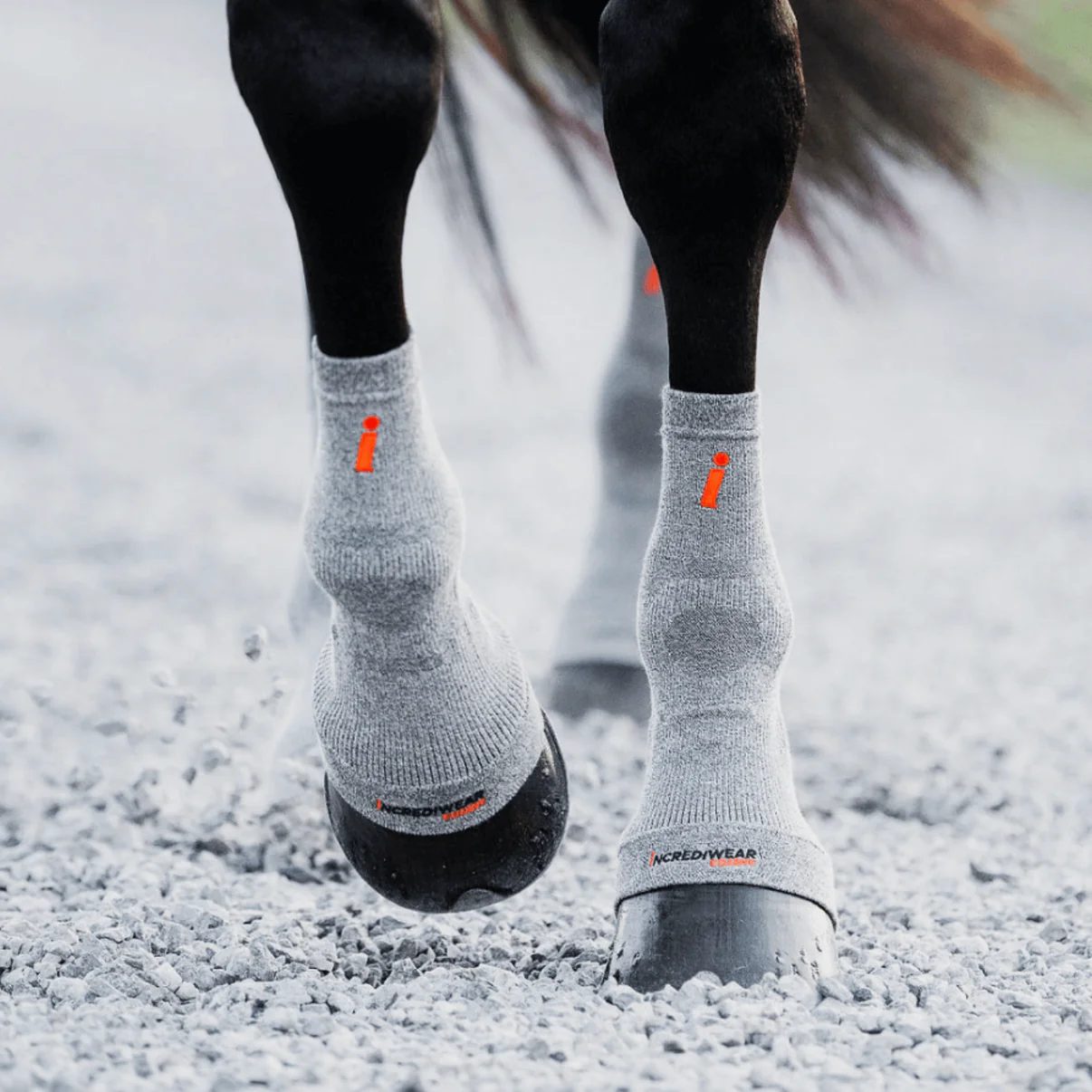 Incrediwear-Equine-Circulation-hoof-socks-grey-2