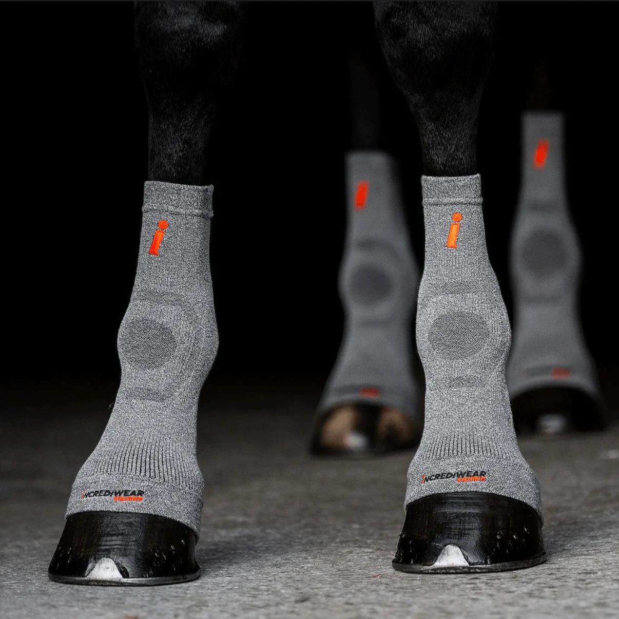 Incrediwear-Equine-Circulation-hoof-socks-grey-3 Incrediwear-Equine-Circulation-hoof-socks-grey-3
