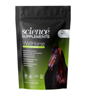 wellhorse_vetran_1.6kg