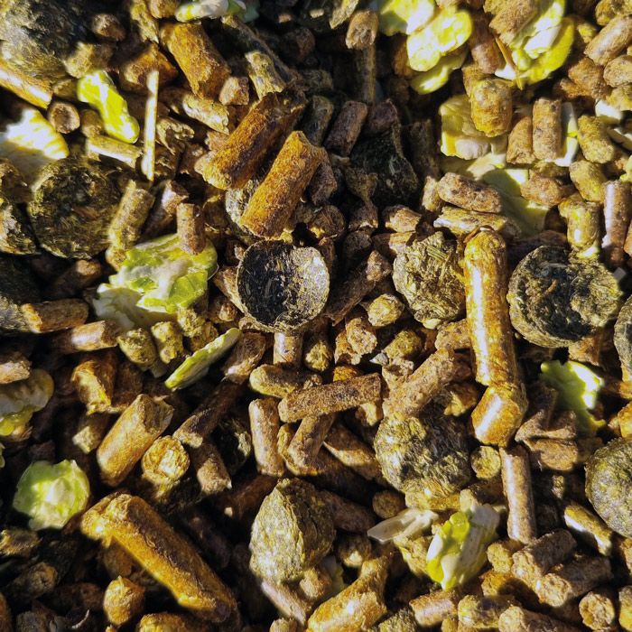 baileys-senior-soft-and-lite-1 baileys-senior-soft-and-lite-1